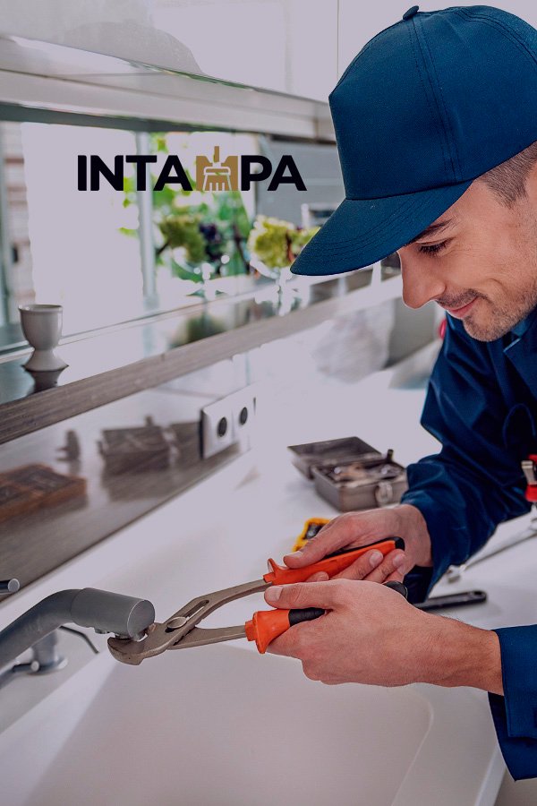 Plumbing and electrical repairs services INTAMPA